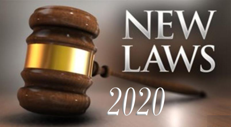 Año nuevo, leyes nuevas en Canadá Magazine Latino Noticias para