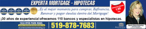 Mortgage Agent/Dominion Lending Centres/hipoteca