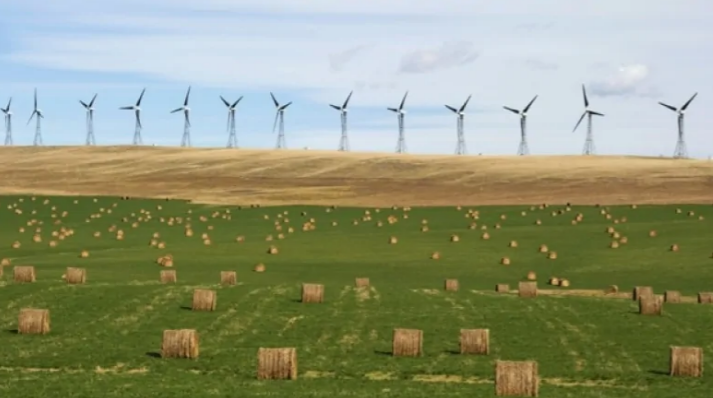 Alberta podría liderar a Canadá en energía eólica y solar para 2025