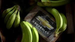 La policía española realiza una incautación récord de cocaína en un cargamento de plátano ecuatoriano